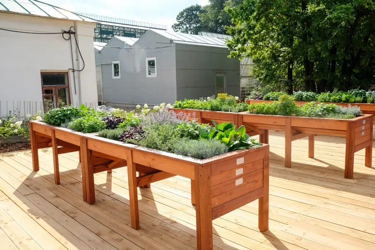 raised beds are perfect for small vegetable gardens