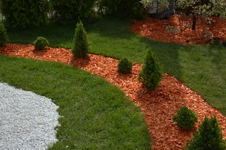 what are the benefits of sheet mulching