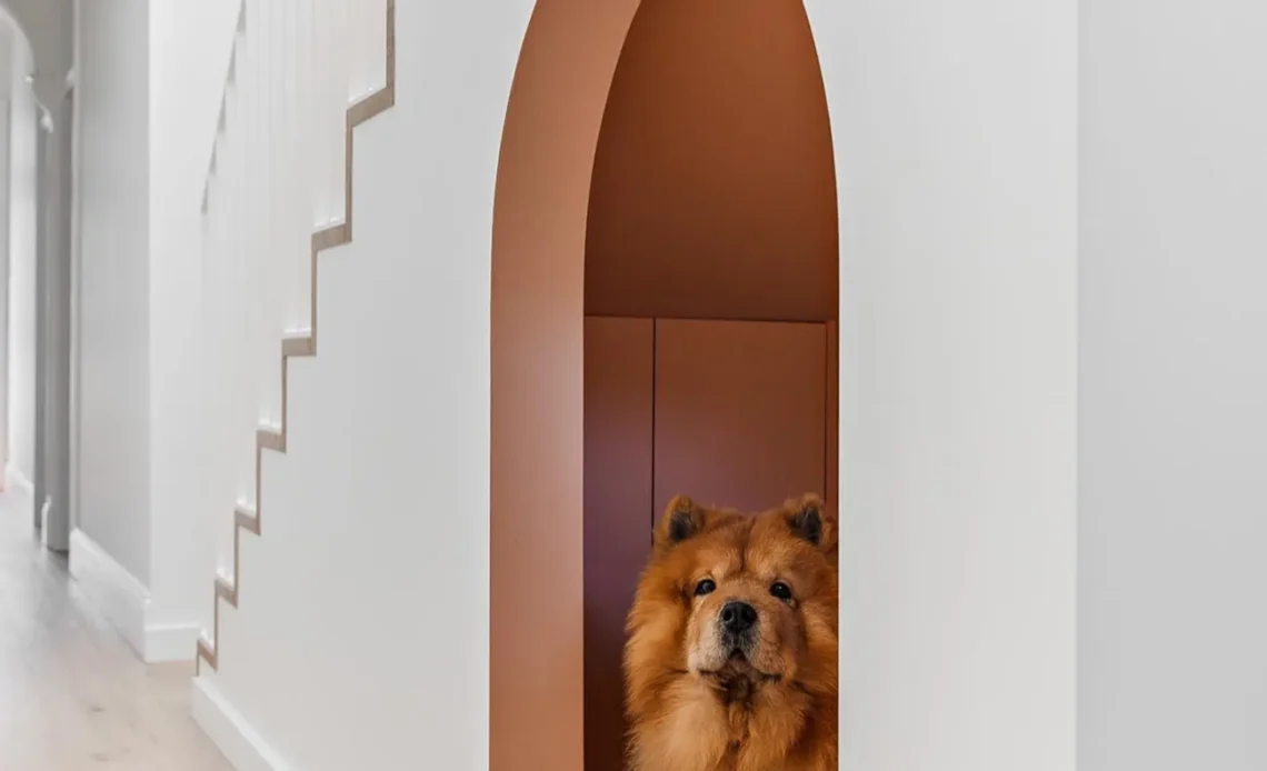 arched under stairs nook for a dog room