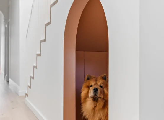 arched under stairs nook for a dog room