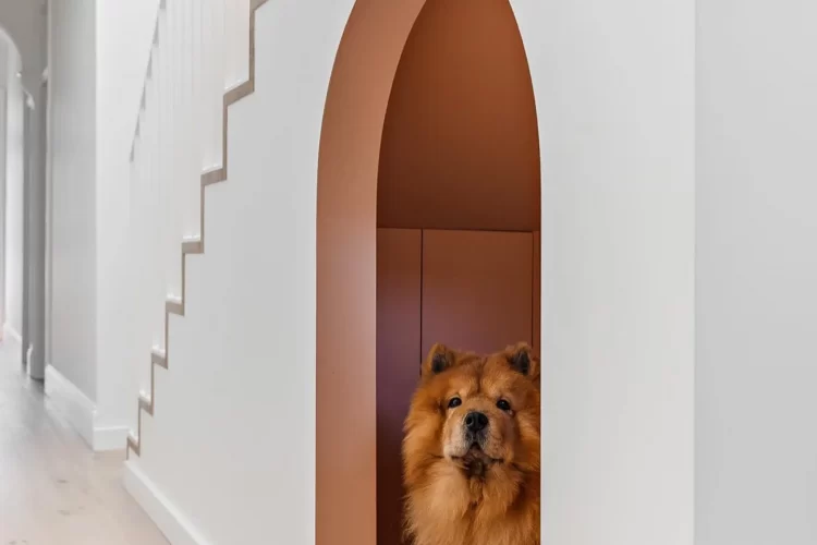 arched under stairs nook for a dog room