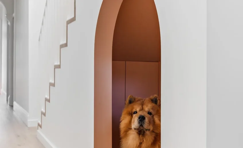 arched under stairs nook for a dog room