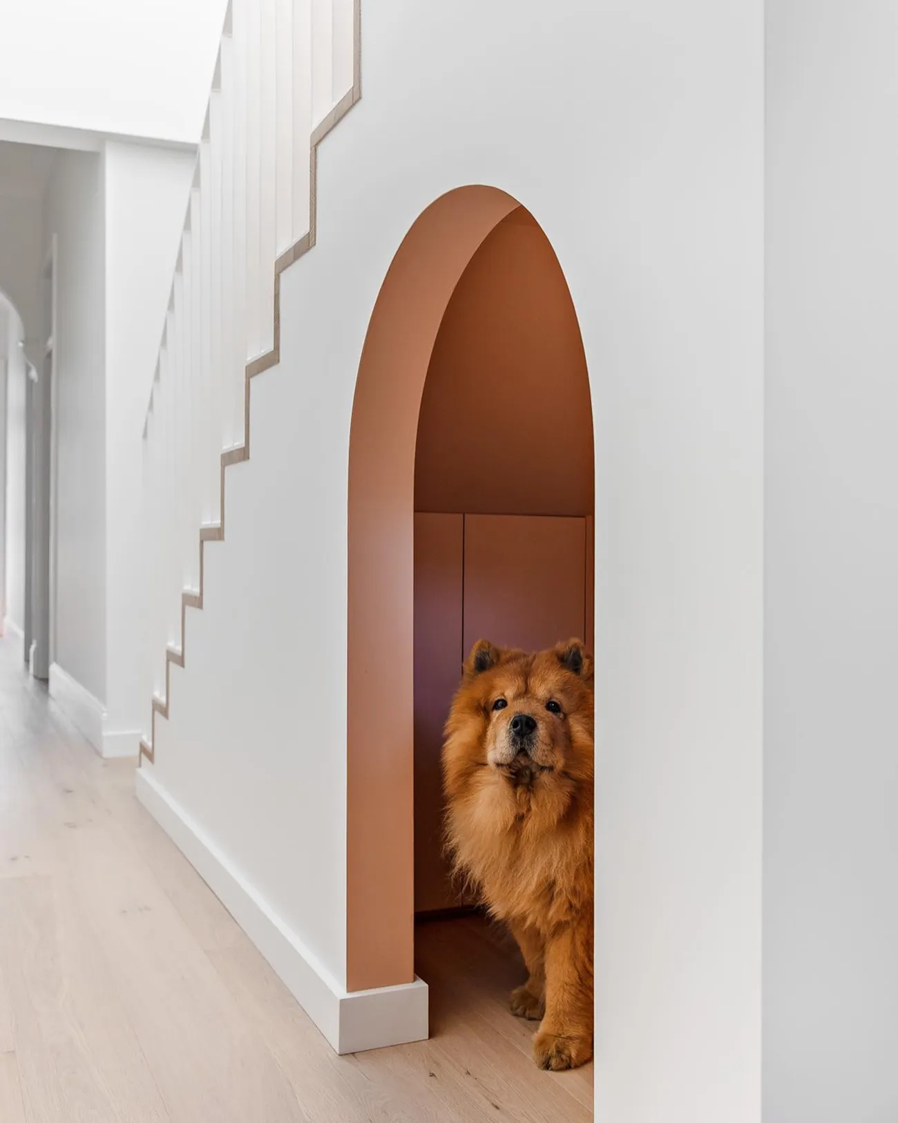 arched under stairs nook for a dog room
