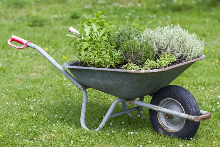 creative outdoor herb garden ideas for small backyard and patio