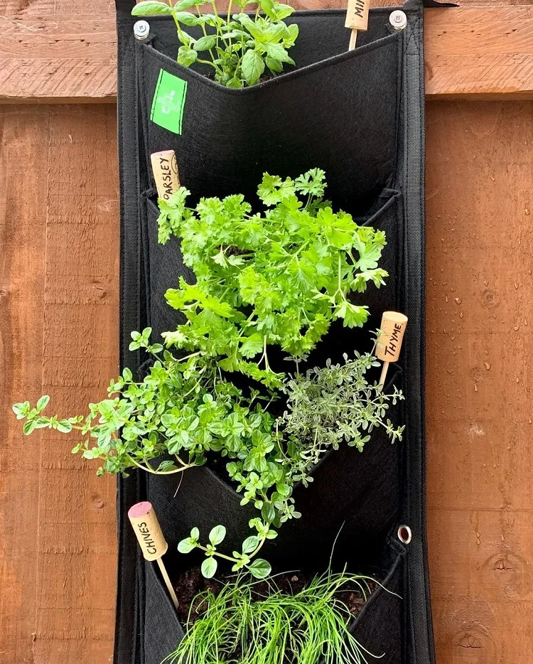 hanging herb garden with wine cork tags