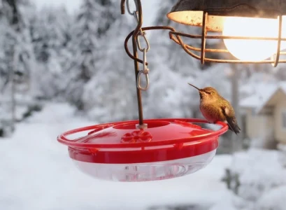 how to make a heated humming bird feeder diy craft
