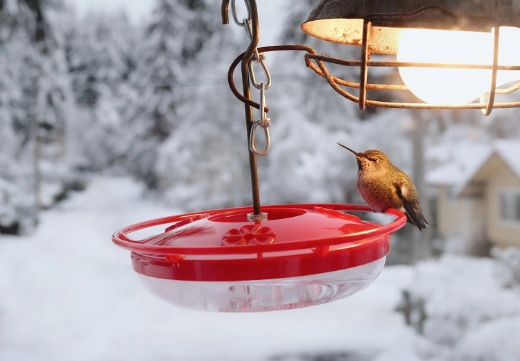 how to make a heated humming bird feeder diy craft