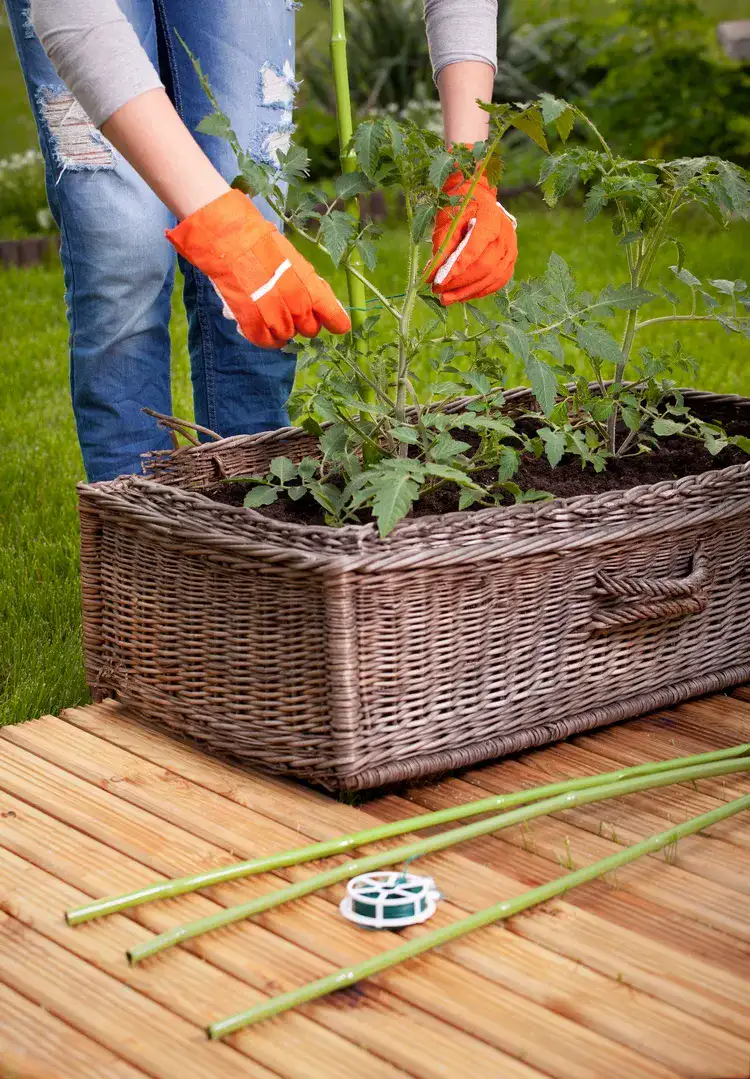 outdoor vegetable garden ideas to transform your exterior