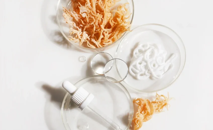 sea moss benefits skin hair men women