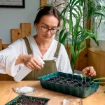 seeds to start indoors in january warm climate zones