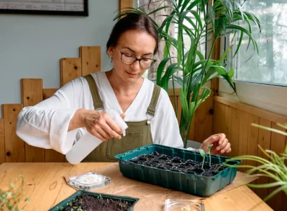 seeds to start indoors in january warm climate zones