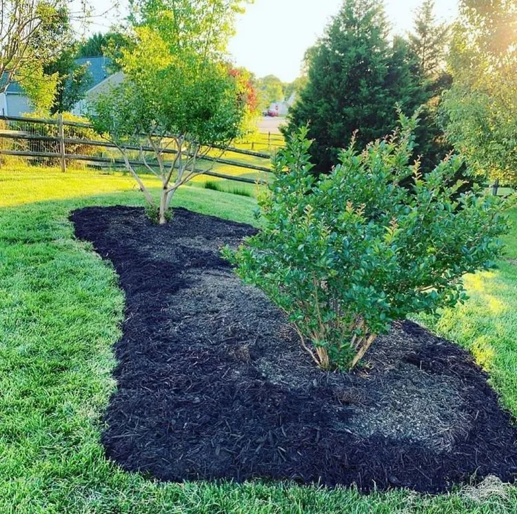 sheet mulching on a slope step by step