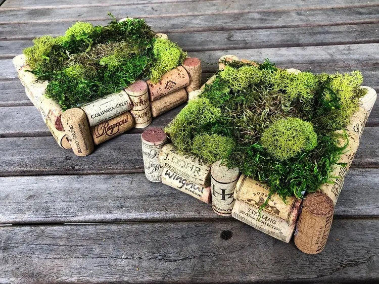 small planters from wine corks