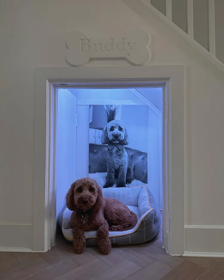 under stairs dog crib with large portrait and led lights