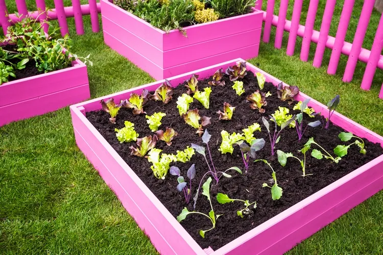 unique outdoor vegetable garden ideas for your patio or small backyard