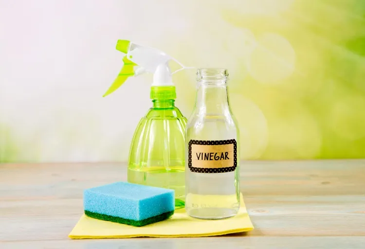 using white vinegar to clean limescale from a humidifier