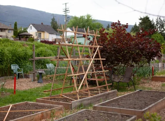 diy trellis guide