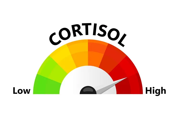 do adrenal cocktails affect cortisol levels