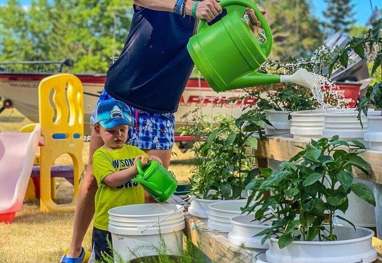 how to make a diy bucket garden step by step guide