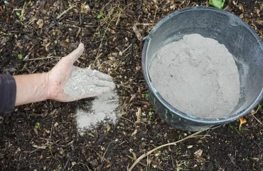 is wood ash good for compost all you need to know