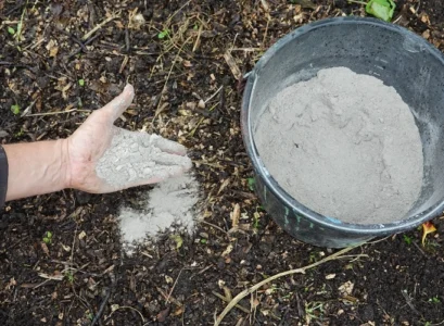 is wood ash good for compost all you need to know