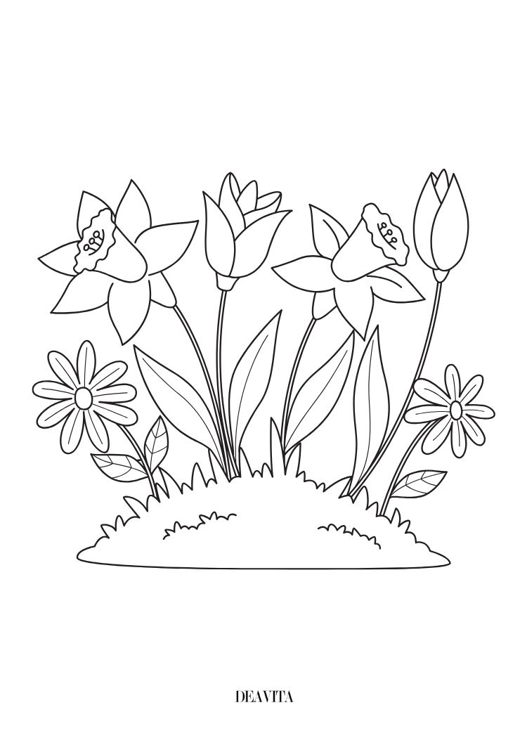 spring flowers coloring page kids and adults free print