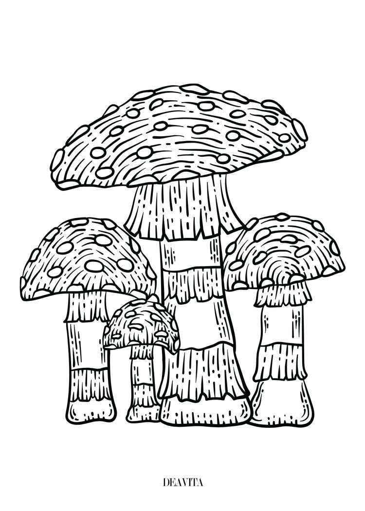 spring mushrooms coloring page free printable pdf