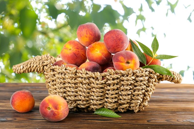 peach fruit tree pot shutterstock 1759892201