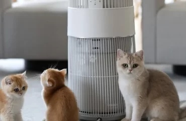 air purifier for cat owners