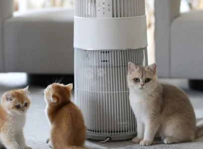 air purifier for cat owners