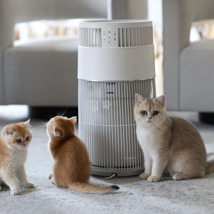 air purifier for cat owners