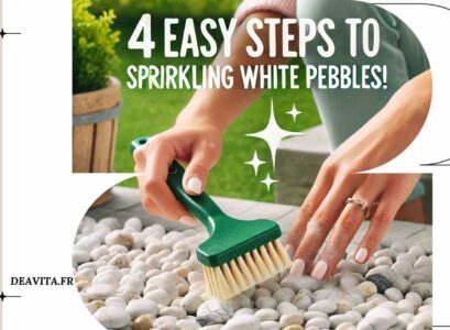 4 steps to clean the pebbles in the garden easy.