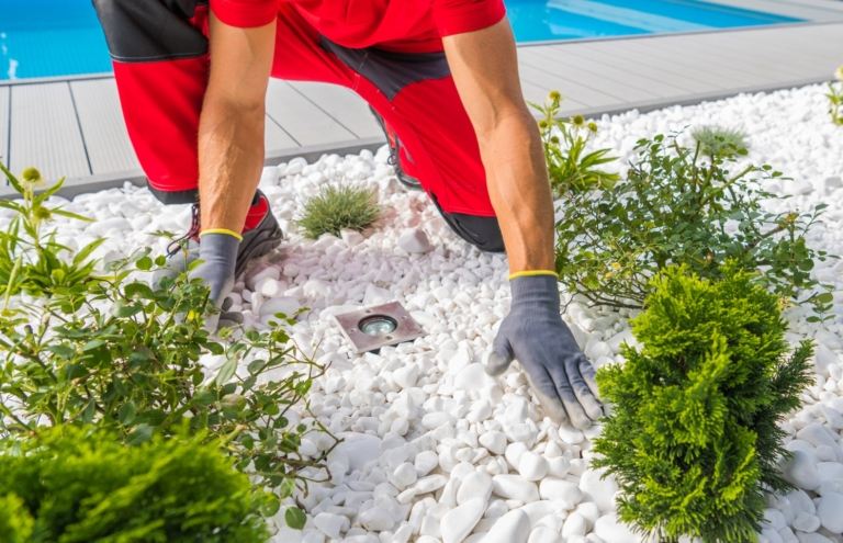 cleaning white pebbles in the garden2