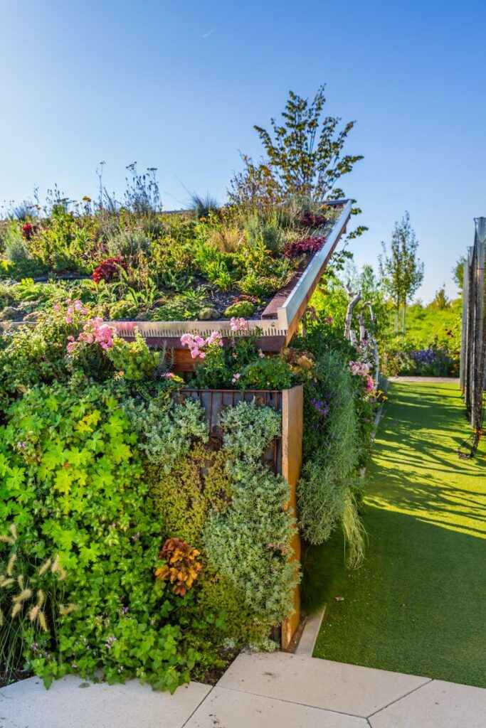 Rooftop garden