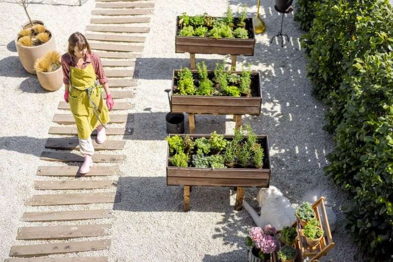 Roof Farming