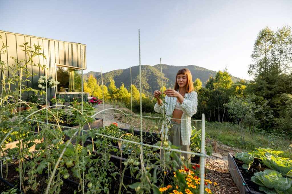 Roof Farming - rooftop garden